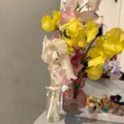 ヒメ日記 2026/01/22 12:29 投稿 マシロ ソープランド マックス