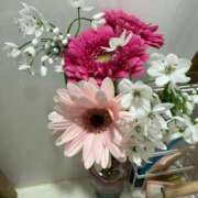 ヒメ日記 2026/01/29 11:15 投稿 マシロ ソープランド マックス