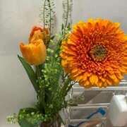 ヒメ日記 2026/01/31 14:36 投稿 マシロ ソープランド マックス