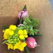 ヒメ日記 2026/02/08 13:42 投稿 マシロ ソープランド マックス