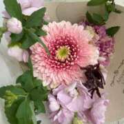 ヒメ日記 2026/02/20 10:21 投稿 マシロ ソープランド マックス