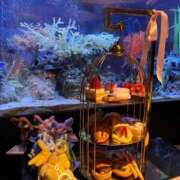 ヒメ日記 2025/05/02 10:42 投稿 かんな 萌えカワ