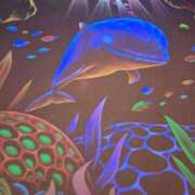 ヒメ日記 2025/06/01 11:25 投稿 かんな 萌えカワ