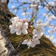 ヒメ日記 2026/04/09 13:32 投稿 かんな 萌えカワ