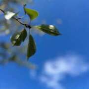 ヒメ日記 2025/08/02 14:49 投稿 穂乃花(ほのか) エリートな人妻たち新宿