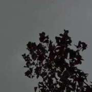 穂乃花(ほのか) 天気がイマイチですね〜🥹 エリートな人妻たち新宿