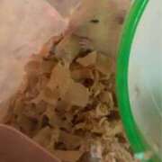 ヒメ日記 2026/02/04 15:39 投稿 マリン ファーストレディー