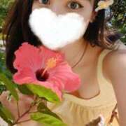 ヒメ日記 2025/06/12 10:20 投稿 白鳥麗 Seirenes (セイレネス)