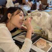 ヒメ日記 2025/10/29 11:39 投稿 白鳥麗 Seirenes (セイレネス)