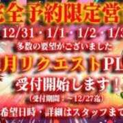 ヒメ日記 2025/12/14 20:32 投稿 白鳥麗 Seirenes (セイレネス)