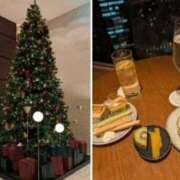 ヒメ日記 2025/12/22 17:32 投稿 白鳥麗 Seirenes (セイレネス)