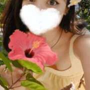 ヒメ日記 2025/12/23 12:42 投稿 白鳥麗 Seirenes (セイレネス)