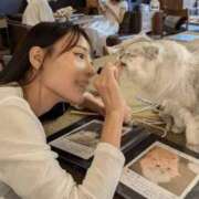 ヒメ日記 2025/12/28 22:32 投稿 白鳥麗 Seirenes (セイレネス)