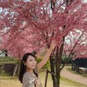 ヒメ日記 2026/04/05 12:42 投稿 白鳥麗 Seirenes (セイレネス)