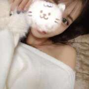 ヒメ日記 2026/04/07 11:22 投稿 白鳥麗 Seirenes (セイレネス)