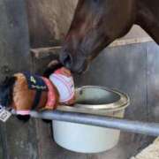 ヒメ日記 2025/11/02 12:48 投稿 りこ Seirenes (セイレネス)