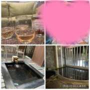 ヒメ日記 2025/11/29 16:32 投稿 かずの Seirenes (セイレネス)