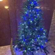 ヒメ日記 2025/12/09 15:22 投稿 かずの Seirenes (セイレネス)