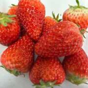 ヒメ日記 2026/03/19 13:32 投稿 かずの Seirenes (セイレネス)