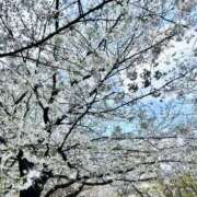 ヒメ日記 2026/03/27 16:12 投稿 かずの Seirenes (セイレネス)