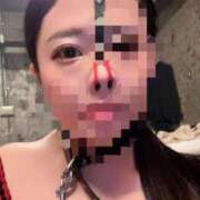 かずの 見られたい願望。 Seirenes (セイレネス)