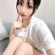 すみれ こんな寒い日は・・・ Seirenes (セイレネス)