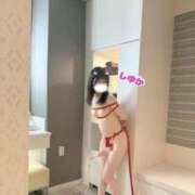 しゆか しゆか出勤しました!! Seirenes (セイレネス)