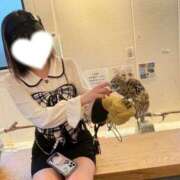 ヒメ日記 2025/05/29 19:45 投稿 ゆきな ヒルズスパ　梅田＋