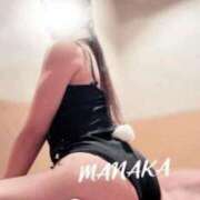 ヒメ日記 2025/12/09 13:47 投稿 まなか Seirenes (セイレネス)