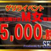ヒメ日記 2025/05/07 12:50 投稿 るみ Seirenes (セイレネス)