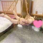 ヒメ日記 2025/11/21 09:17 投稿 らな Seirenes (セイレネス)