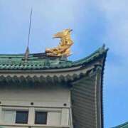 ヒメ日記 2026/01/18 12:37 投稿 らな Seirenes (セイレネス)