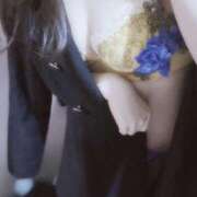 ヒメ日記 2026/02/02 08:42 投稿 らな Seirenes (セイレネス)