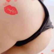 せいな おはようございます Seirenes (セイレネス)