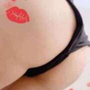 せいな お久しぶりです。 Seirenes (セイレネス)