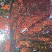 しおり しおりの日記 Seirenes (セイレネス)