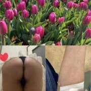 ヒメ日記 2026/03/01 13:22 投稿 しおり Seirenes (セイレネス)