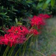 ヒメ日記 2026/01/24 04:46 投稿 ムツ リッチドールなんば店