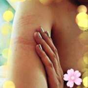 ヒメ日記 2025/05/19 09:57 投稿 せいこ Seirenes (セイレネス)