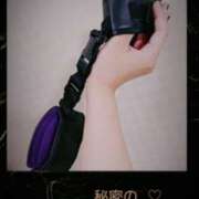 ヒメ日記 2025/11/19 17:56 投稿 せいこ Seirenes (セイレネス)