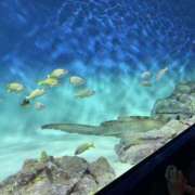 ヒメ日記 2025/06/09 09:47 投稿 ゆりな モアグループ熊谷人妻花壇