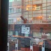 ヒメ日記 2026/01/08 09:22 投稿 真行寺水希女王様 Seirenes (セイレネス)