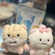 のあ 妊活中 (՞ ̳・ᴗ・ ̳՞)‪໒꒱ 聖女(マリア)