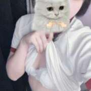 ヒメ日記 2025/07/24 12:17 投稿 れい ハンドキャンパス新宿