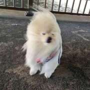 ヒメ日記 2025/12/12 10:56 投稿 れい ハンドキャンパス新宿