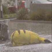 ヒメ日記 2026/04/10 13:37 投稿 れい ハンドキャンパス新宿