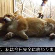 ヒメ日記 2026/05/30 11:19 投稿 れい ハンドキャンパス新宿