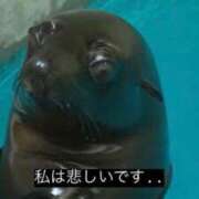 ヒメ日記 2026/08/03 23:55 投稿 れい ハンドキャンパス新宿