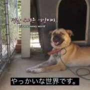 ヒメ日記 2026/08/09 10:46 投稿 れい ハンドキャンパス新宿