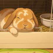 ヒメ日記 2025/05/05 11:40 投稿 あや 風鈴（ふうりん）